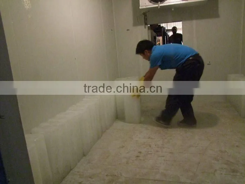 Full automatic ice block making machine for Africa
