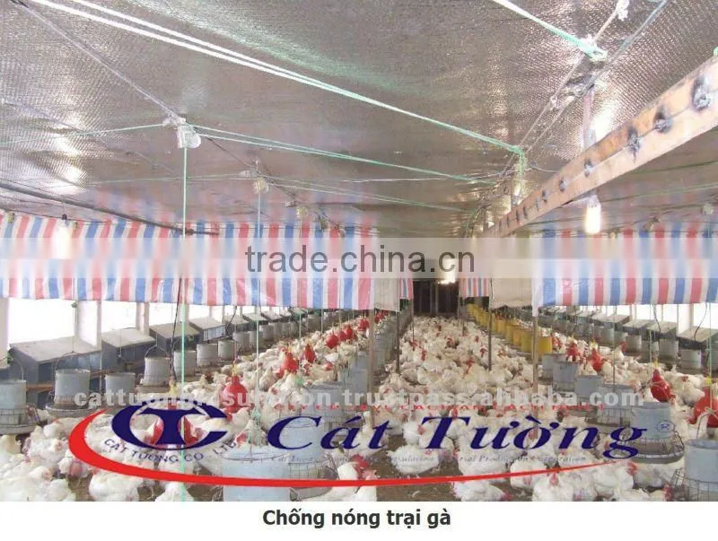 Metallized PET Laminated Bubble