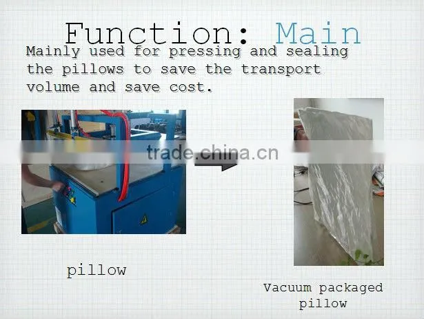 P06 Pillow vaccum packing machines in manufacture
