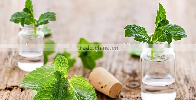 Pure Indian Peppermint Oil For Export | 100% Natural Peppermint Oil