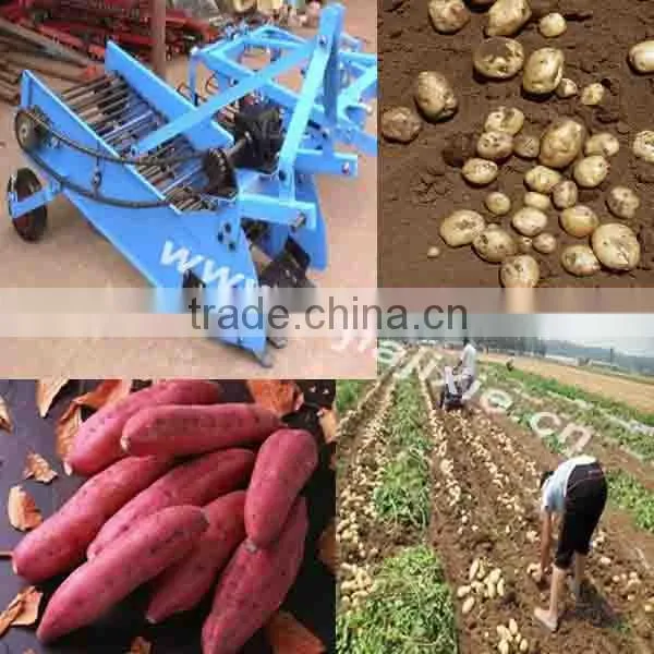 sweet potato harvest machine