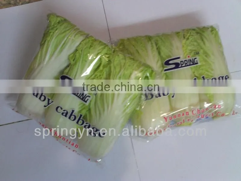 Long Shape Cabbage Fresh Green Cabbage on sale frozen packed