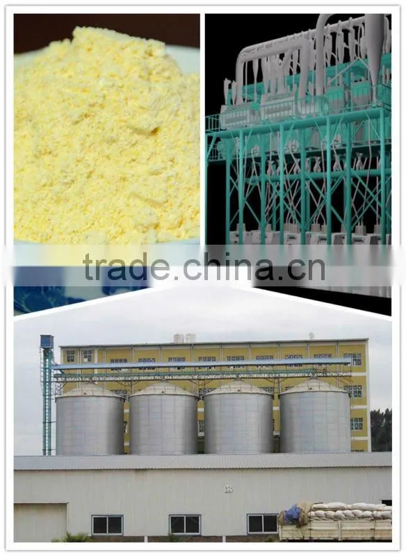 100T/D maize mill