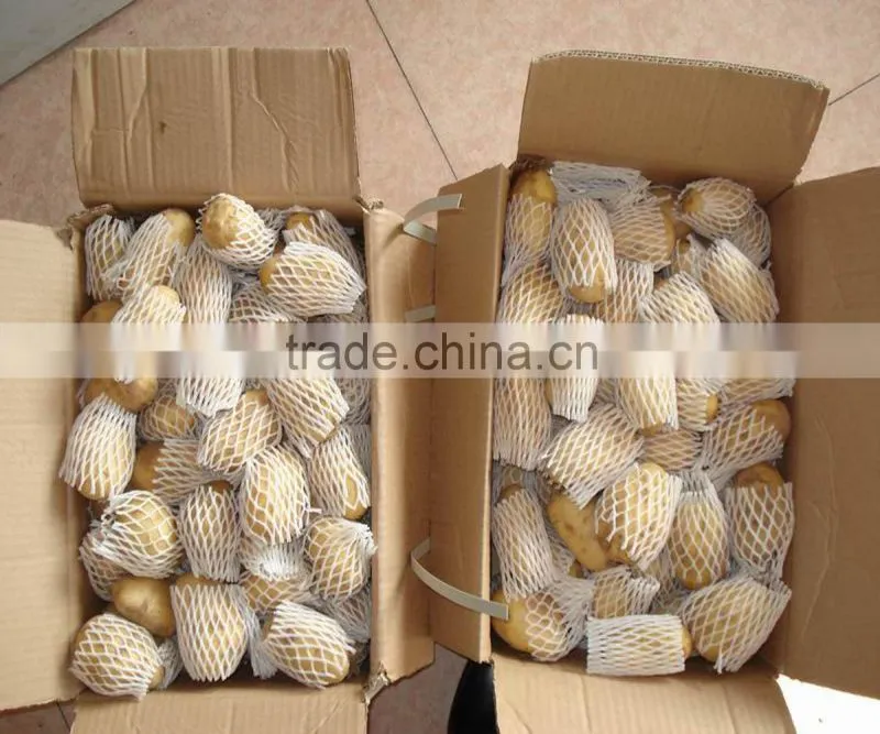 2011 shouguang fresh natural holland potato