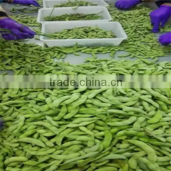 2016 New crop frozen soybean kernel