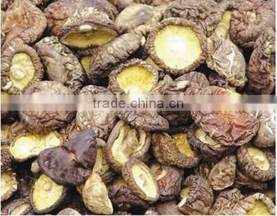 dried shiitake mushroom Smooth Shiitake mushroom dried mushroom