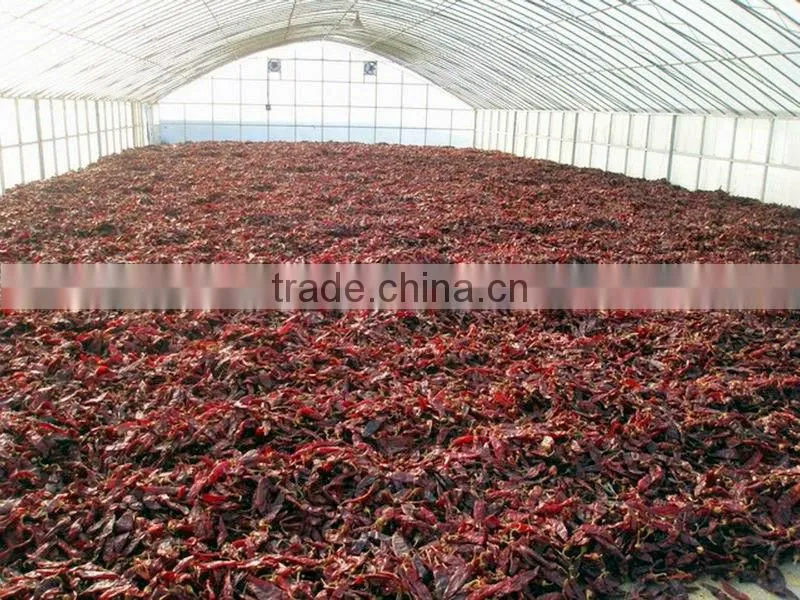 HACCP FDA KOSHER Certified Sweet Whole Paprika Pods
