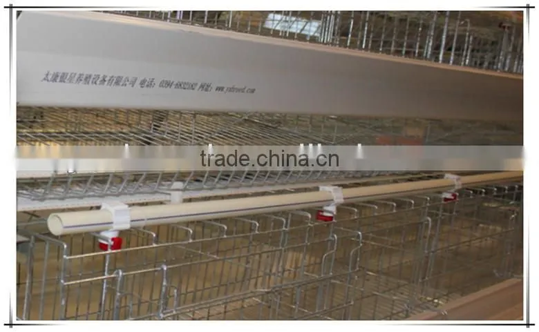 poultry battery cages for sale