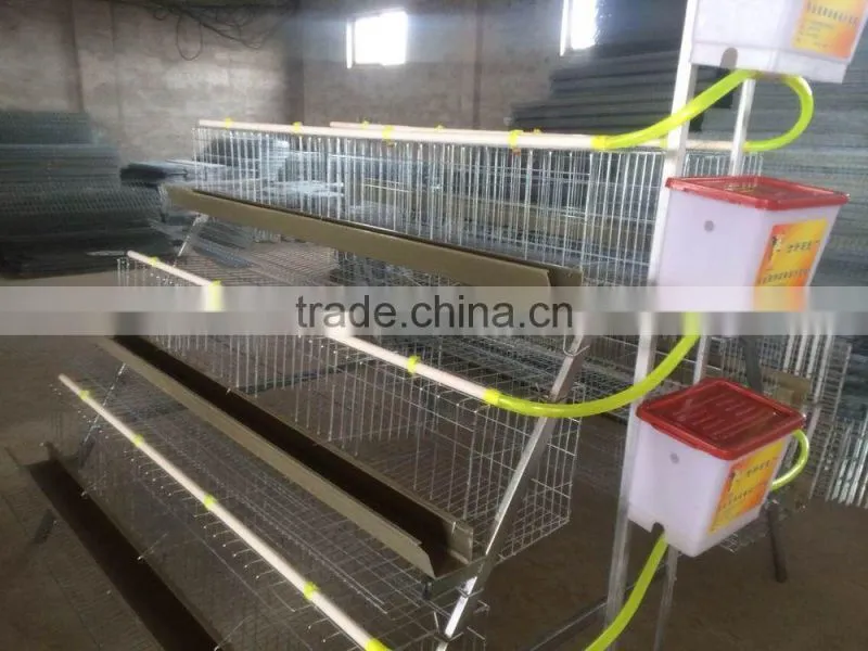 FRD 2016 Poultry farm equipment automatic battery design chicken egg layer cages /bird cage for sale/decorative bird cages