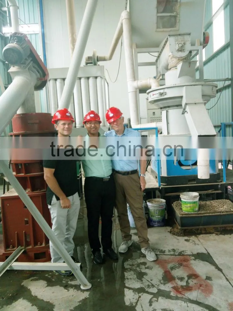 Flat Die Pellet Machine Small Pellet Mill for Animal Feeds Pellets
