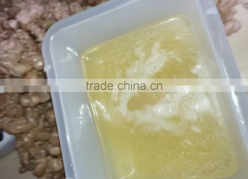 CE approved automatic professional seed oil extraction machine HJ-P05