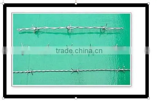 2013 China barb wire arms