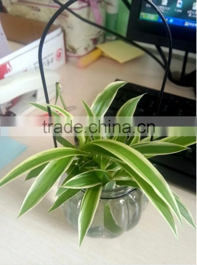 hang transparent glass vase/Other copper grass plants hang bottle hydroponic flower pot