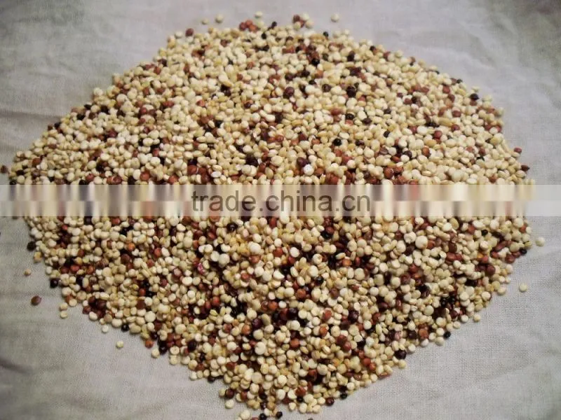 quinoa seeds sorting machine color sorter machine