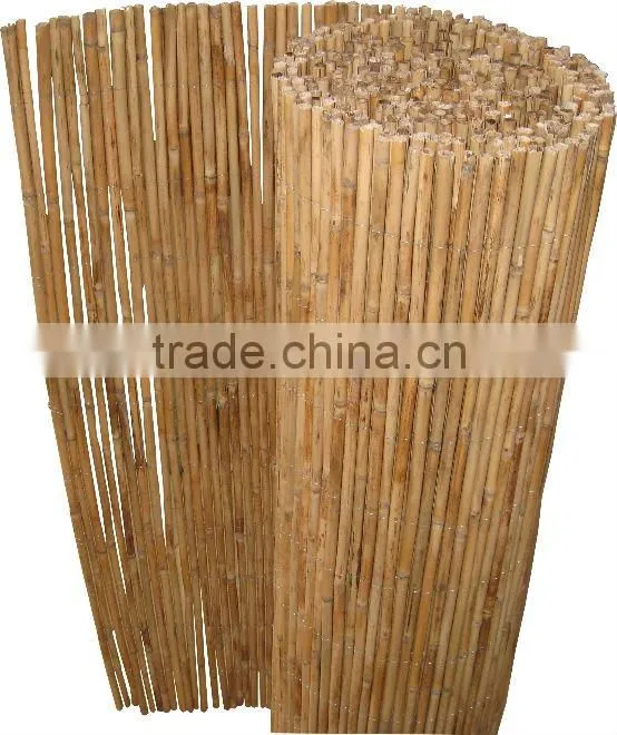 bamboo fence