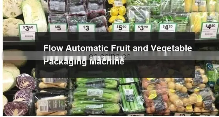 China manufacturer vegetable horizontal pillow packaging machine