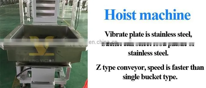 Automatic Bag Making Ice Cubes Packing Machine
