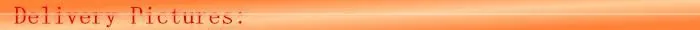 Top Quality Professional Sale Friction Disk