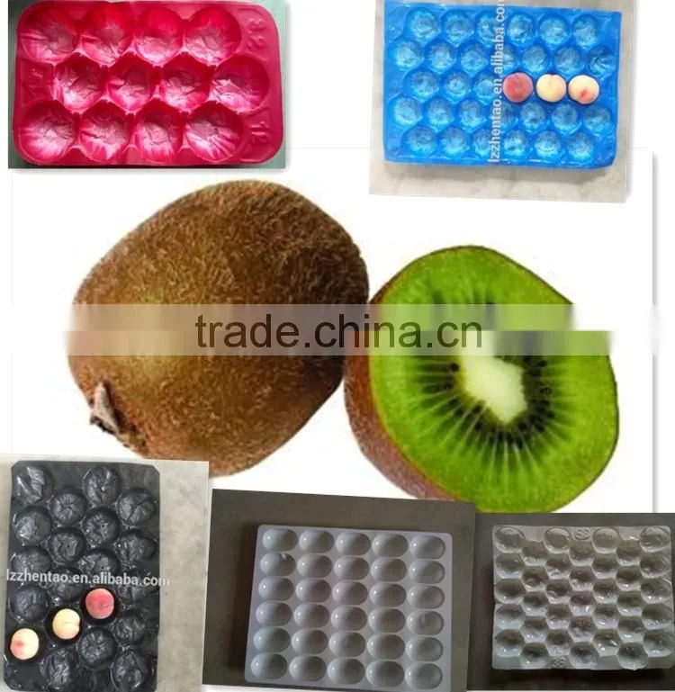 Disposable Plastic Fruit Strawberry Packaging Tray