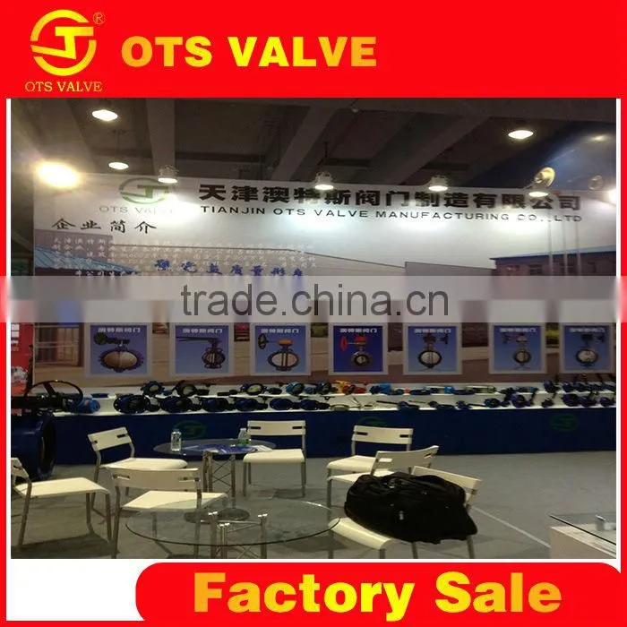 BV-DS001Pneumatic actuated wafer butterfly valve