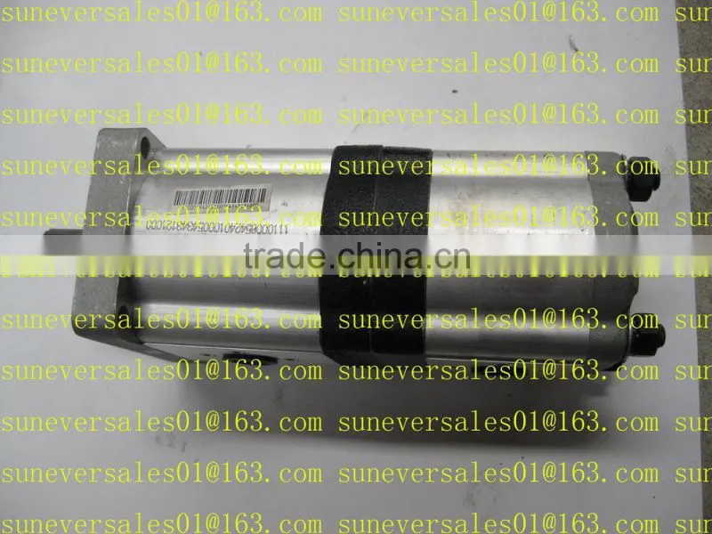 Hydraulic Pump Twin Pump 2CBN G320 310B for Foton Tractor