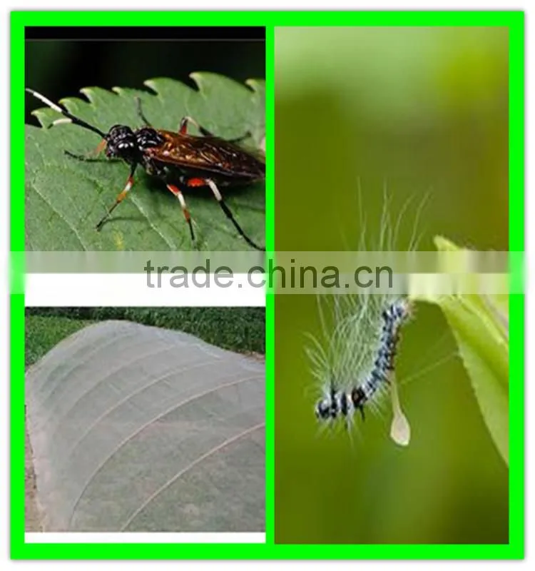 Suntex HDPE anti insect net heat resistant plastic mesh