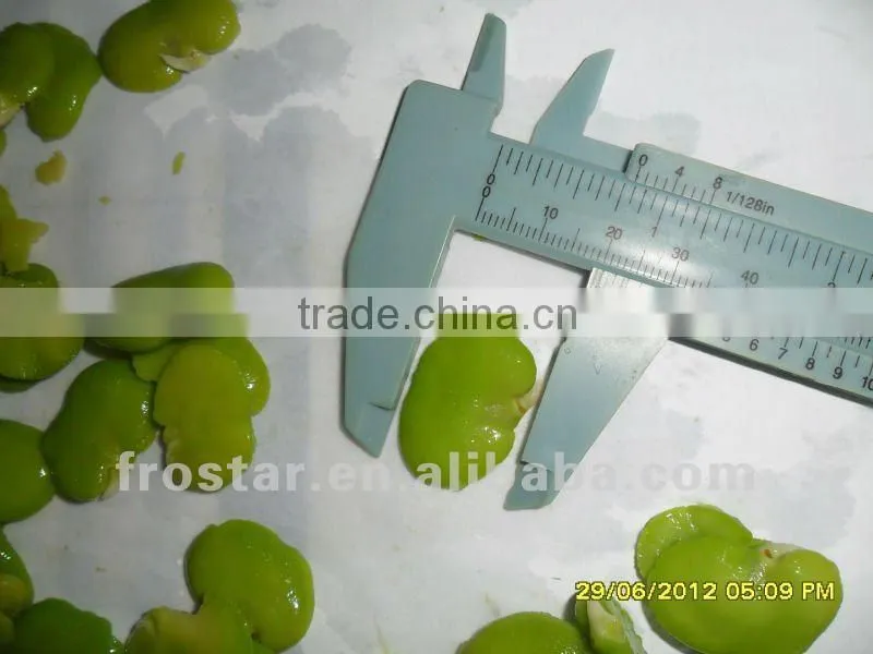New crop frozen broad bean kernel