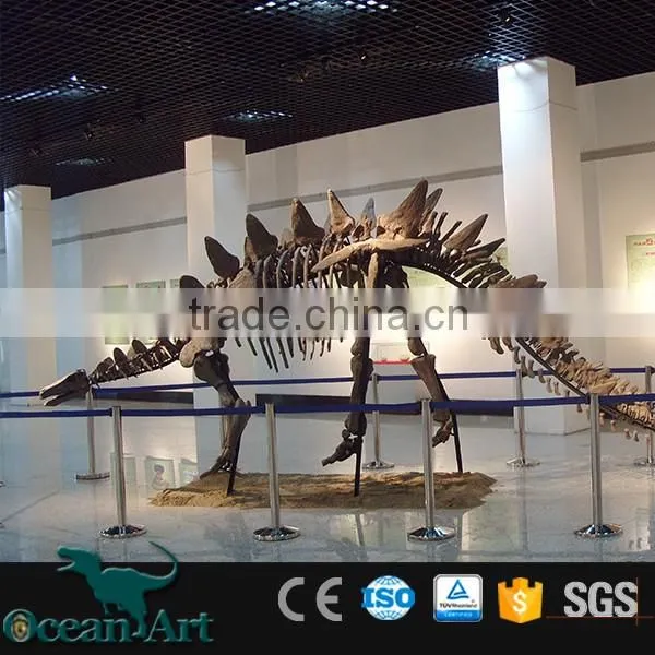 OAV3085 Simulation Dinosaur Fake Skeleton