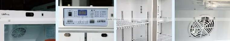 2-8 degree Pharmacy Refrigerator