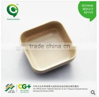 Eco-Friendly High Quality Wooden Chopping Board/Chopping Board Set