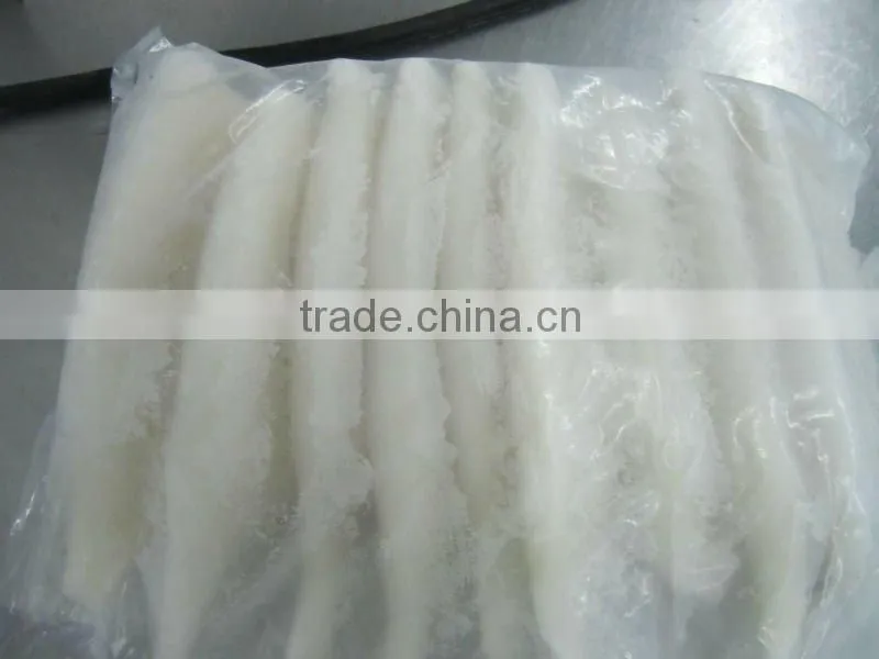 Squid Tube U5