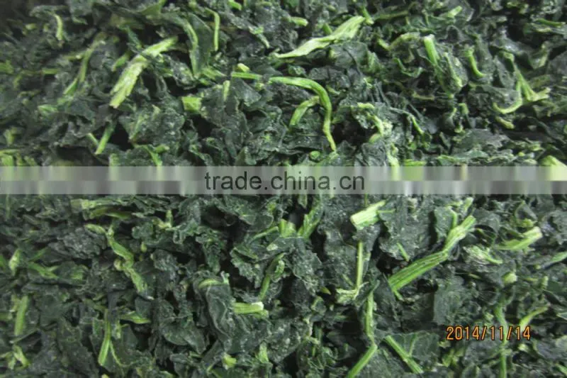 IQF chopped spinach cuts