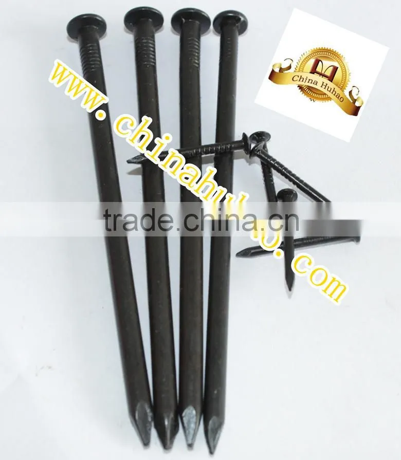 Various Galvanized Concrete Steel Nails /Harden Steel Nails