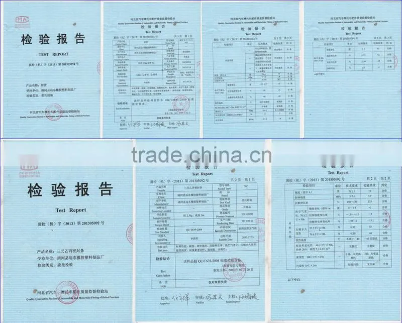 High quality customized auto seal strip