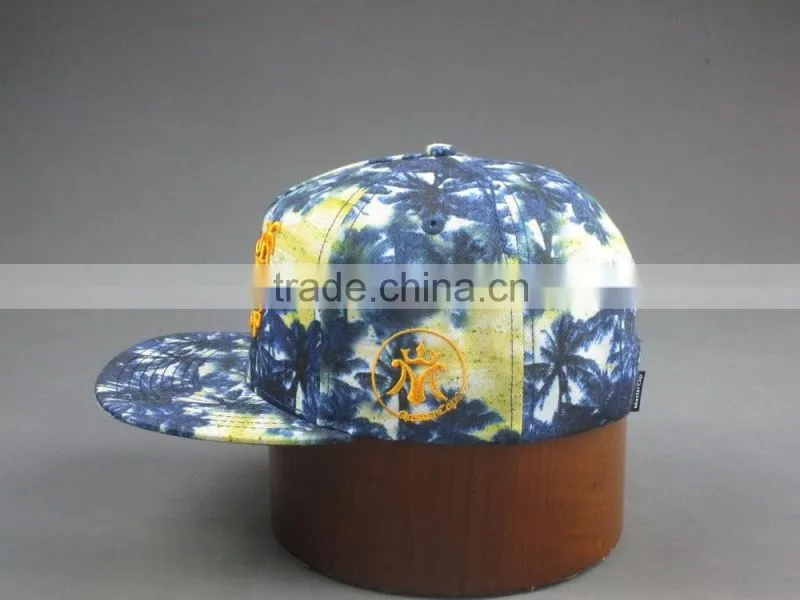 3D embroidery colorful 5-panel snapback