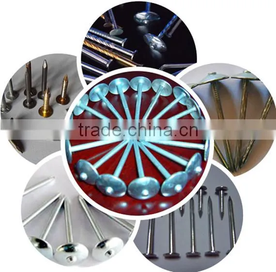 steel nail common iron nails and galvanized nail