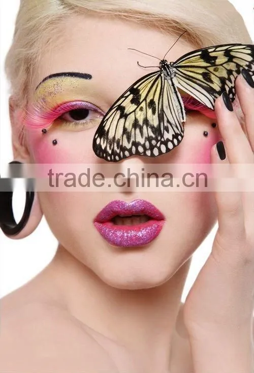 Titanium anodized segment ring, body piercing nose ring jewelry
