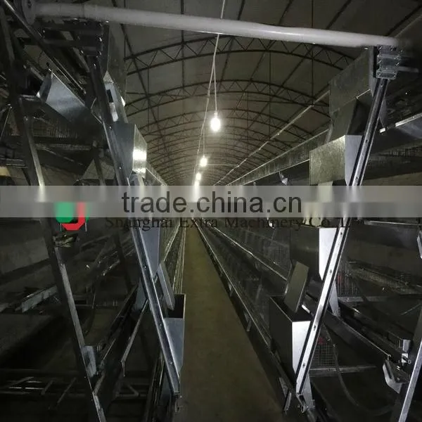A-type cage for broiler and layer