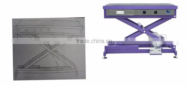 Economic Best-Selling new coming pet grooming table