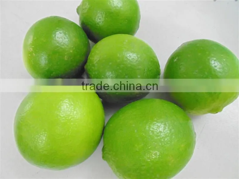 fresh lime VIET NAM 2015