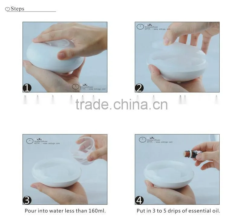 2013 Hot new ultrasonic redolence facial steamer