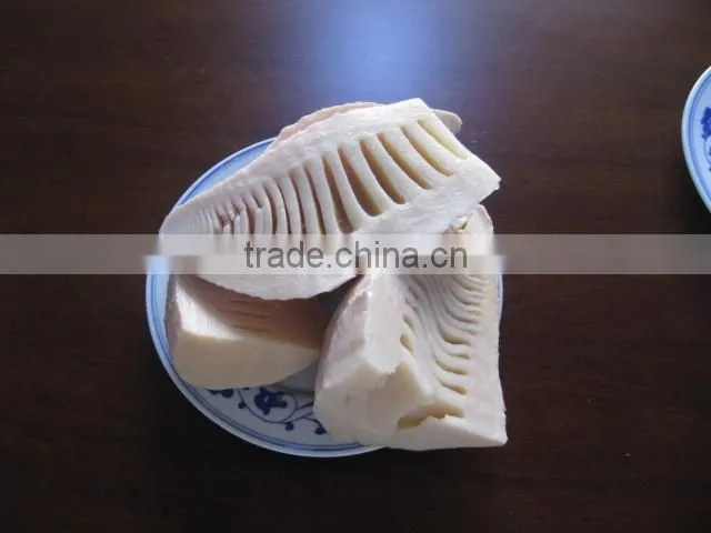 Good quality canned bamboo shoots halves in water