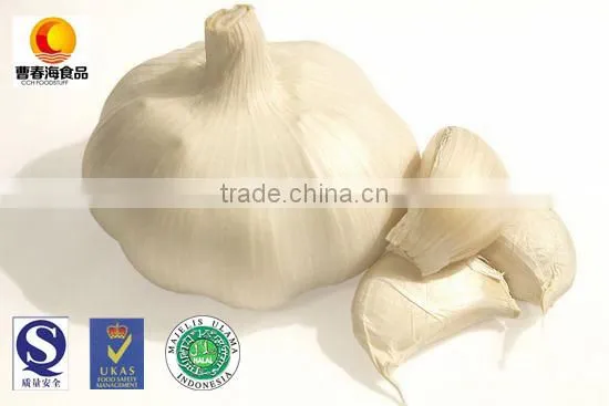 Nuisanceless dried pure white garlic