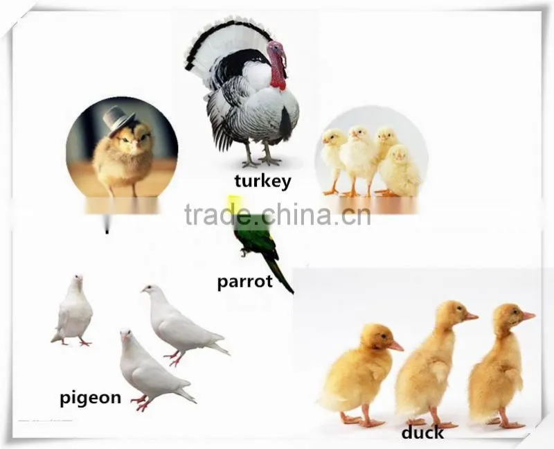 wholesale egg incubator/ heating element for egg incubator
