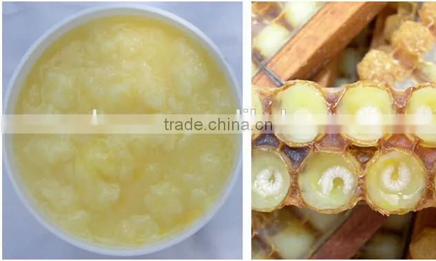 Best Royal Jelly Price/Manufacturer Supply Fresh Royal Jelly