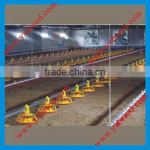 Floor broiler raising system