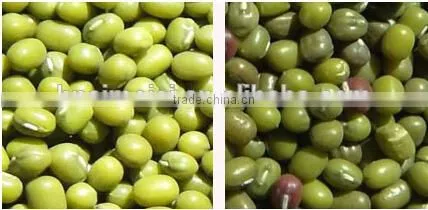 Belt Model Sorting Machine for Soybeans with Nikon Lens 0086 371 65866393