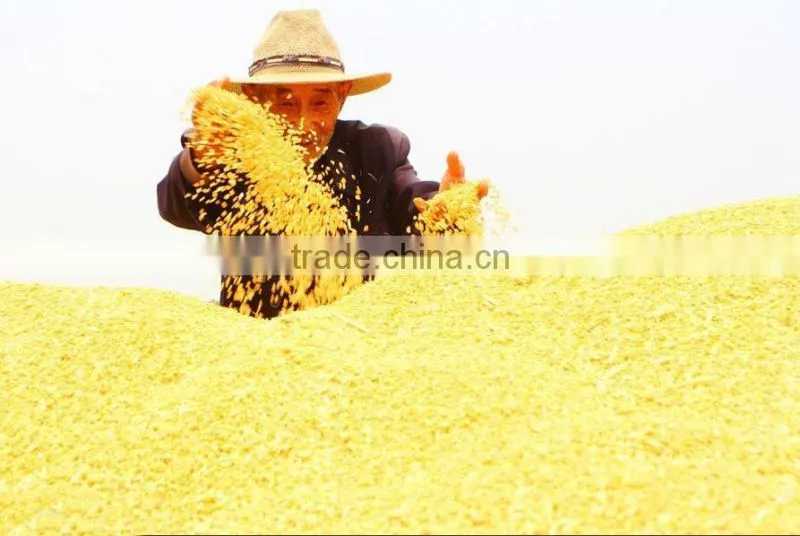 Farm use Mini diesel engine rice wheat reaper