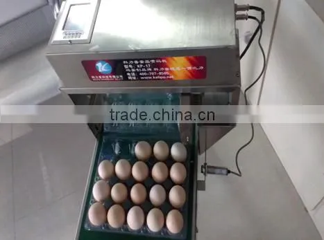 Best selling high resolution inkjet printing machine/carton coding machine