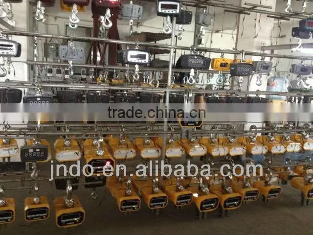 50kg-1000kg portable crane scale
